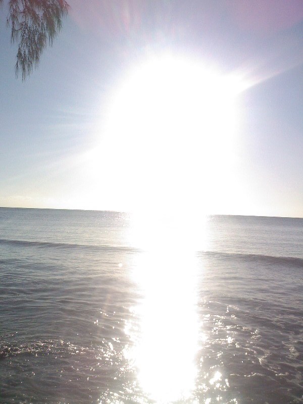 gal/Ile Maurice/SP_A0099_Tamarin_Hotel.jpg